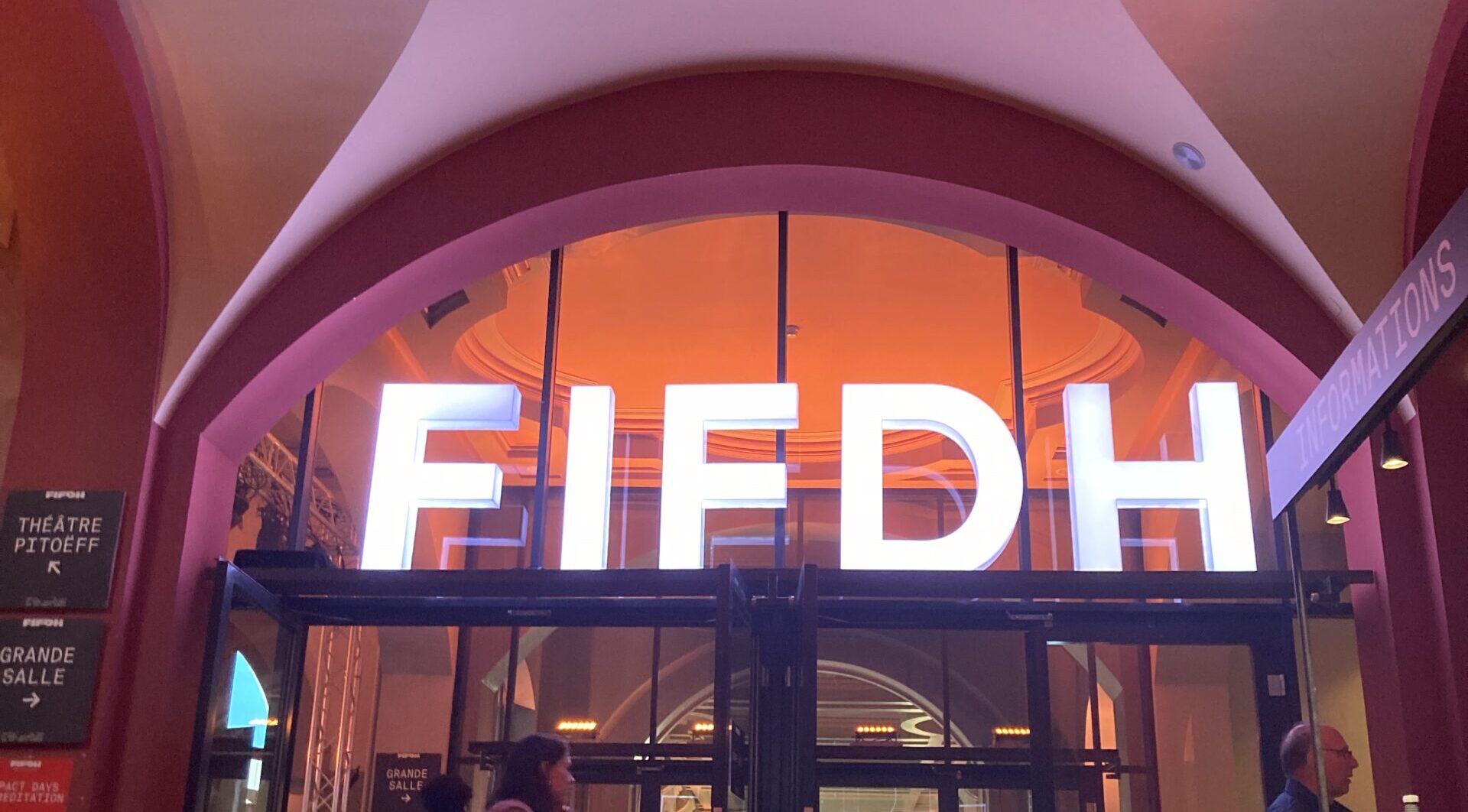 FIFDh Impact Days