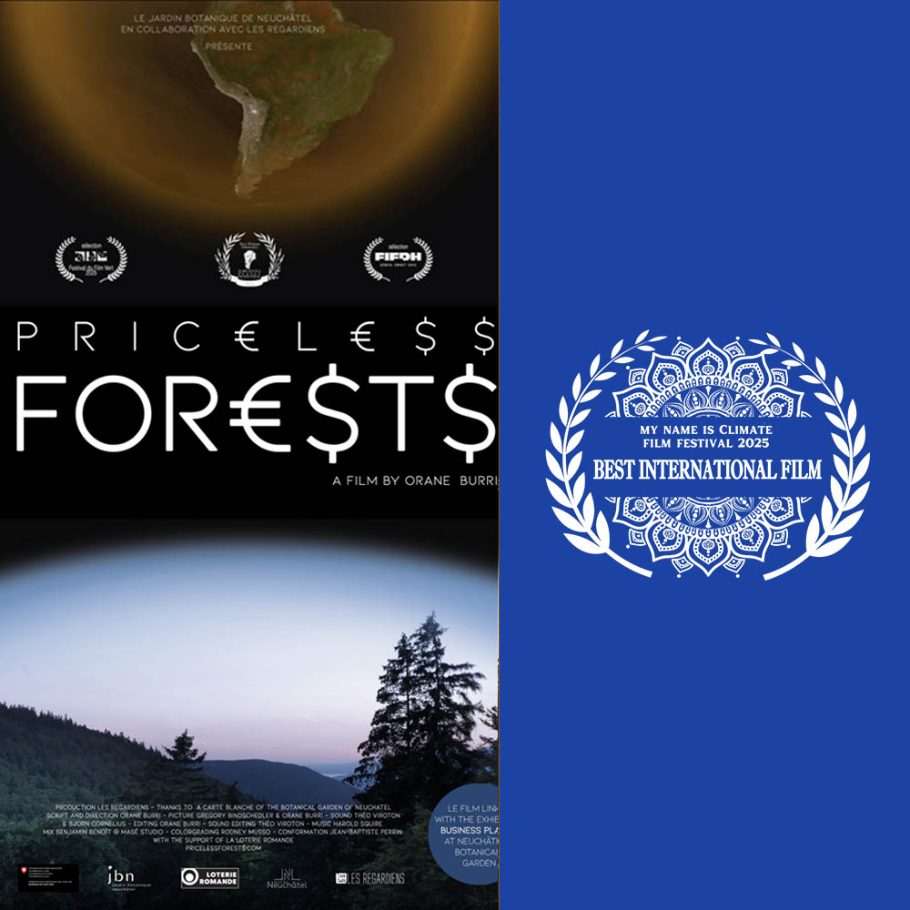  » Best International Film Award »
